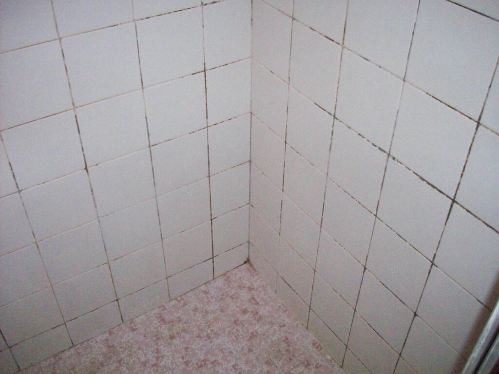 tile-regrouting-sydney